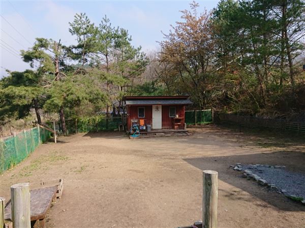 大阪の老犬ホーム